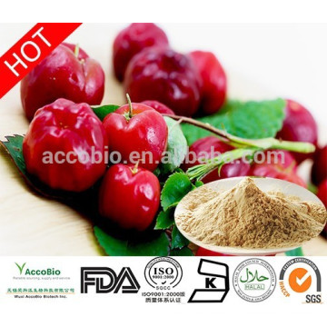 Bulk Supply Acerola Cherry Fruit Extracto en Polvo / Acerola Cherry PE 17%, 25% 98% Vitamina C